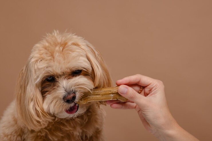 Petiscos Naturais Desidratados para Cachorro: O Guia Completo para Cuidar da Saúde do Seu Pet