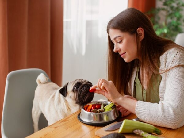 Perguntas Frequentes Sobre Petiscos Naturais para Cachorros