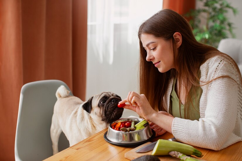 Perguntas Frequentes Sobre Petiscos Naturais para Cachorros