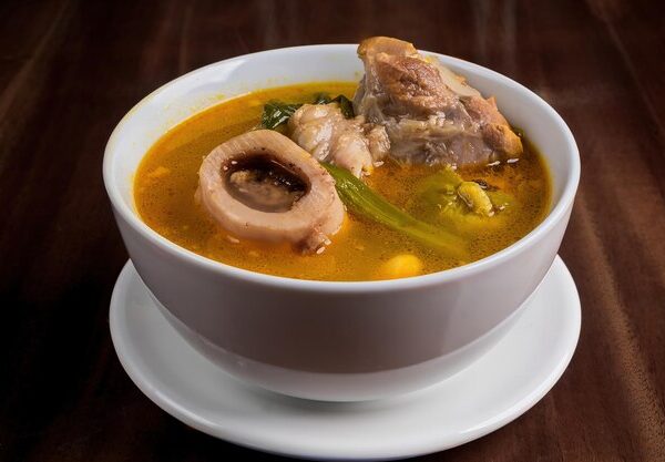 Como o Caldo de Ossos para Caes Pode Transformar a Alimentação do Seu Pet?